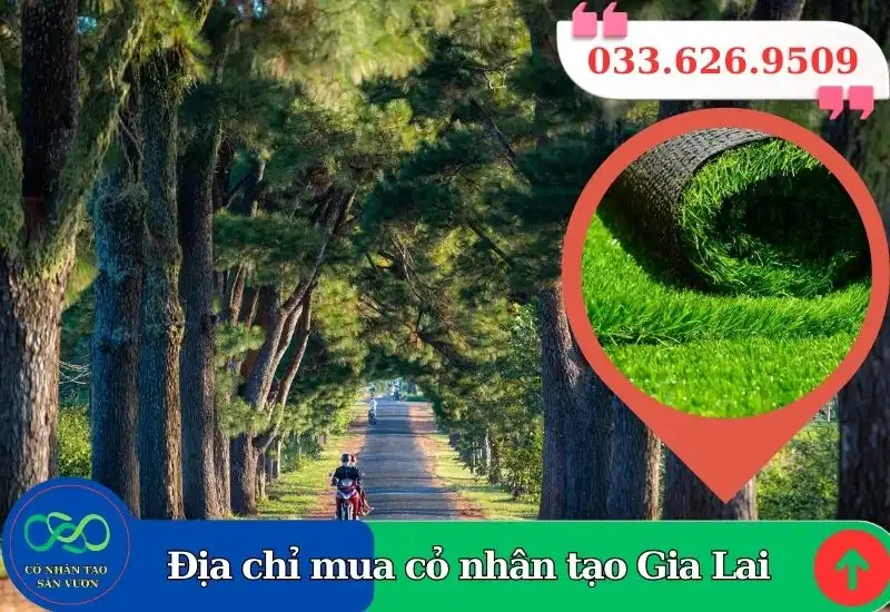 Thảm cỏ nhân tạo Gia Lai giá rẻ
