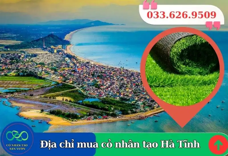 Thảm cỏ nhân tạo Hà Tĩnh giá rẻ