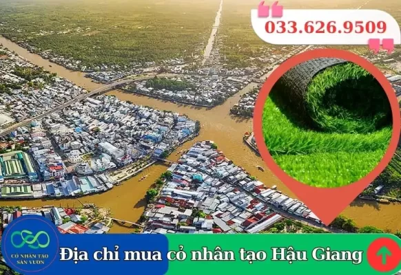 Cỏ nhân tạo Hậu Giang