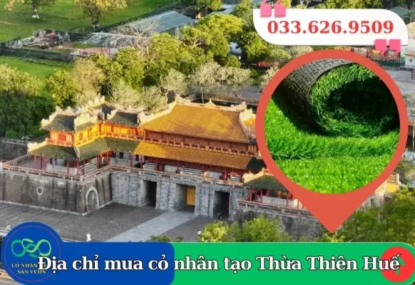 Thảm cỏ nhân tạo Huế giá rẻ