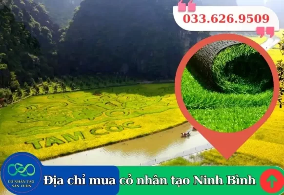 Thảm cỏ nhân tạo Ninh Bình giá rẻ
