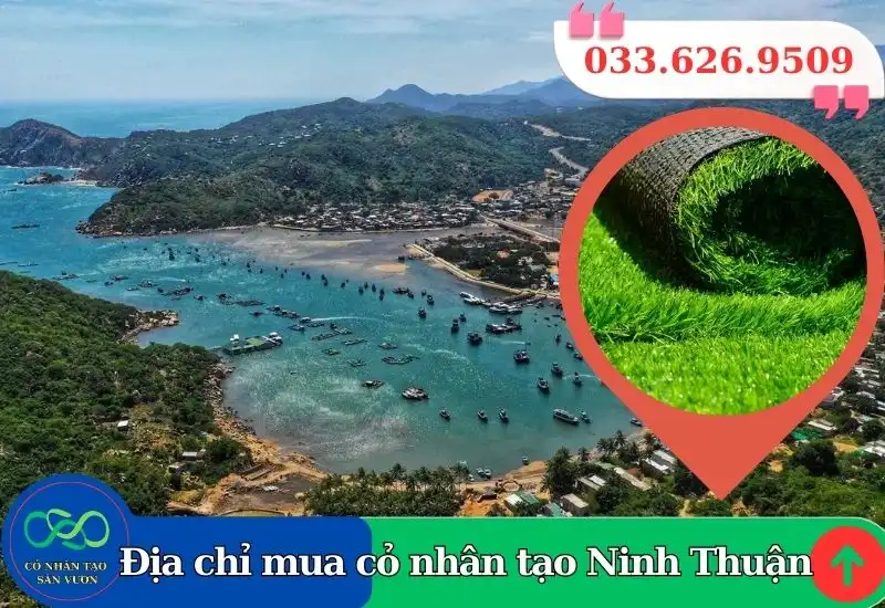 Thảm cỏ nhân tạo Ninh Thuận giá rẻ
