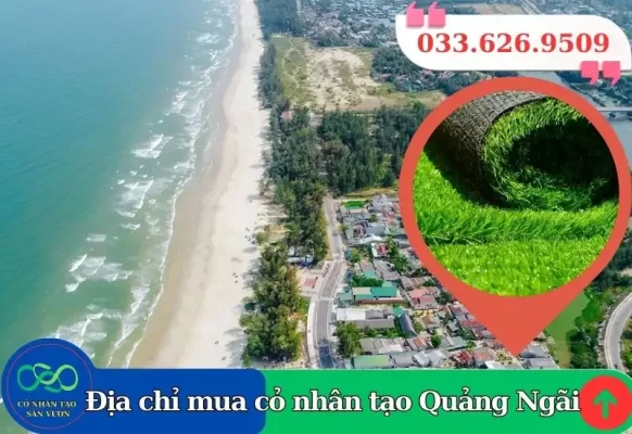Thảm cỏ nhân tạo Quảng Ngãi giá rẻ