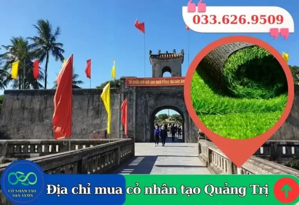 Thảm cỏ nhân tạo Quảng Trị giá rẻ