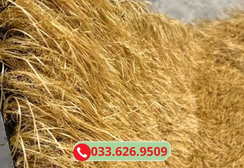 Rơm nhân tạo màu sắc tự nhiên, chống nước