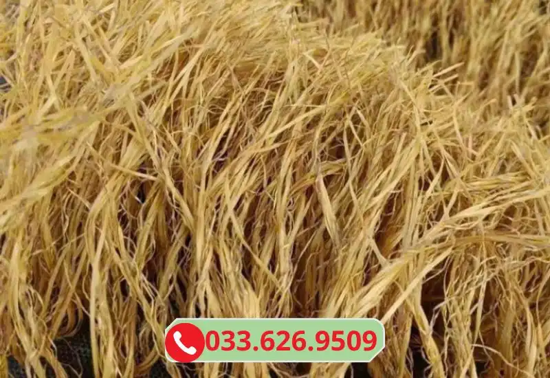 Cận cảnh rơm nhân tạo