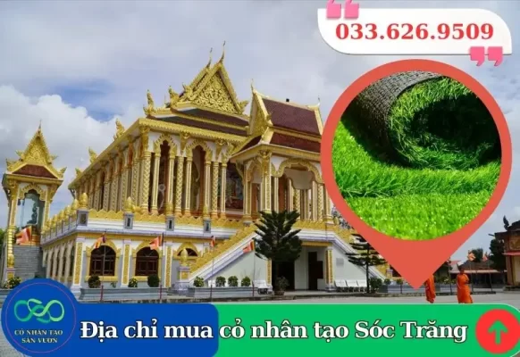 Cỏ nhân tạo Sóc Trăng giá rẻ