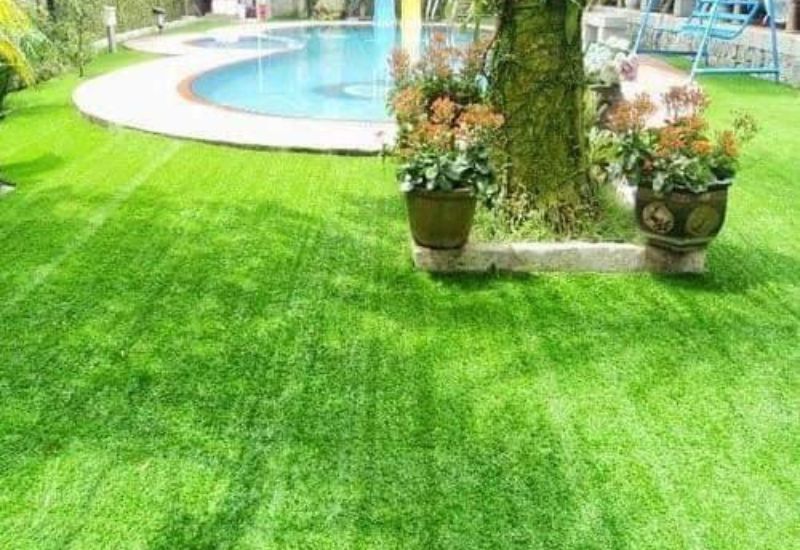 Thảm cỏ 1cm sử dụng trải sân vườn