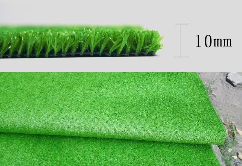 Thông số của cỏ 1cm