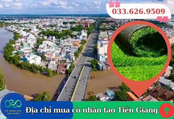 Thảm cỏ nhân tạo Tiền Giang
