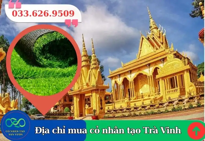 Thảm cỏ nhân tạo Trà Vinh