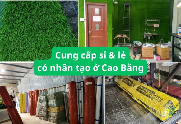 Địa chỉ mua cỏ nhân tạo Cao Bằng giá rẻ