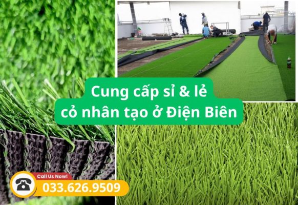 Địa chỉ cung cấp cỏ nhân tạo Điện Biên