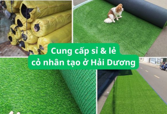 Bảng giá và cách mua thảm cỏ nhân tạo Hải Dương giá rẻ