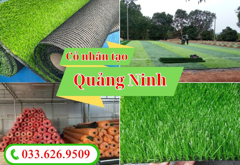 Cung cấp, thi công trọn gói cỏ nhân tạo Quảng Ninh
