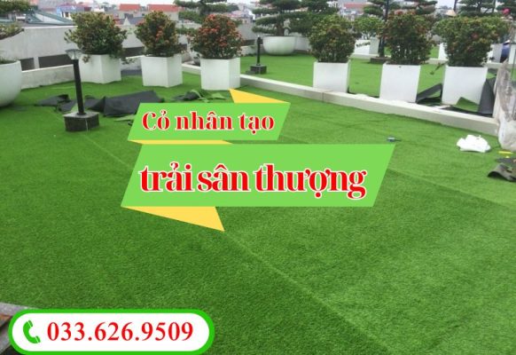 Thảm cỏ nhân tạo trải sân thường