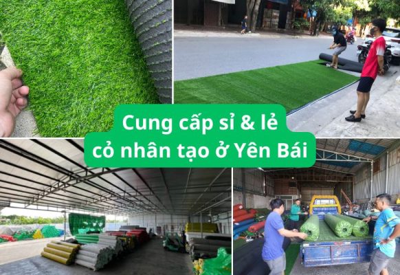 Địa chỉ cung cấp cỏ nhân tạo Yên Bái giá tốt