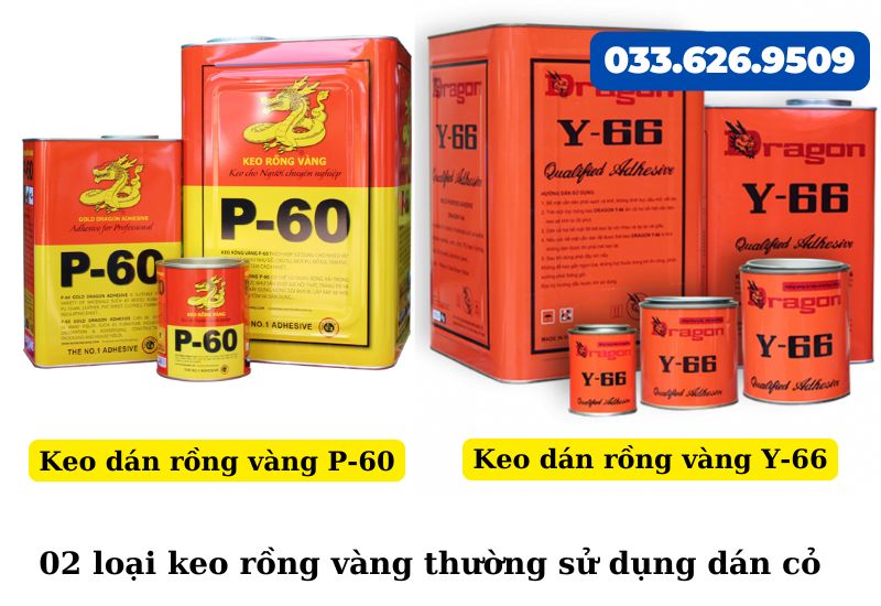 Keo dán rồng vàng các loại