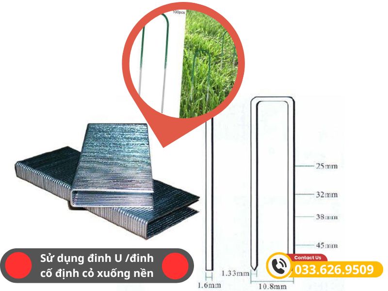Cố định thảm cỏ xuống mặt nền bằng đinh