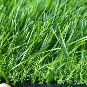 Lựa chọn dòng cỏ chất lượng nâng cao độ bền, đầu tư hiệu quả cho sân vườn