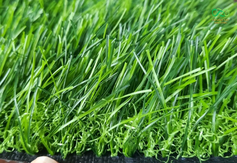 Lựa chọn dòng cỏ chất lượng nâng cao độ bền, đầu tư hiệu quả cho sân vườn