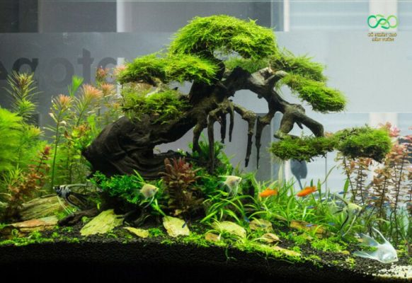 Cỏ nhân tạo thiết kế tiểu cảnh của hồ cá