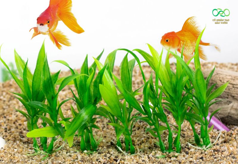 Cỏ nhựa trang trí bể cá sang trọng, đẹp mắt