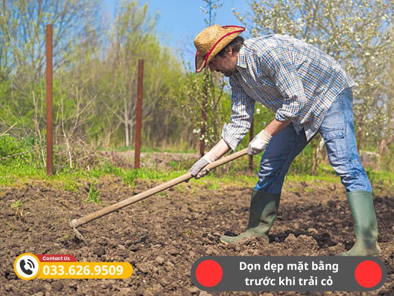 Làm mặt nền, hạn chế cỏ dại