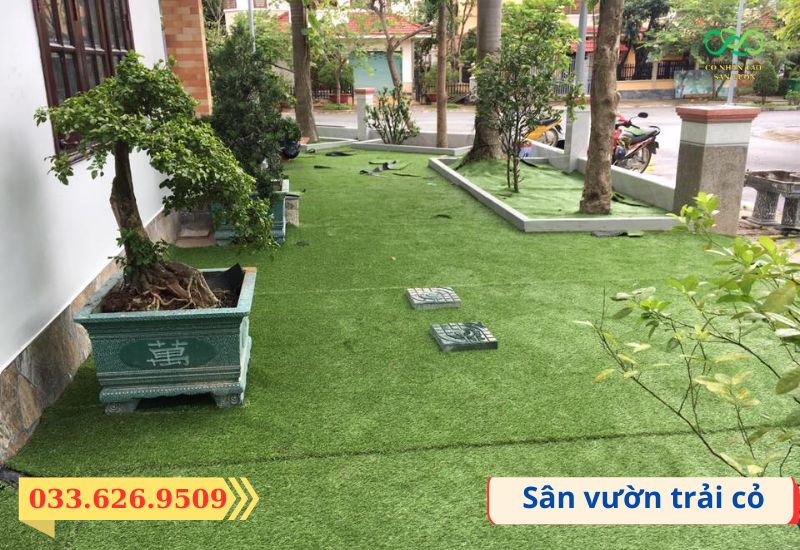 Mặt sân vườn khi trải cỏ