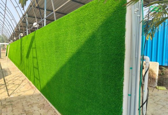 Thảm cỏ nhân tạo ốp tường