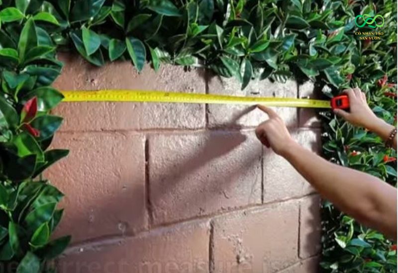 Đo đạc và làm sạch mặt tường cần dán cỏ