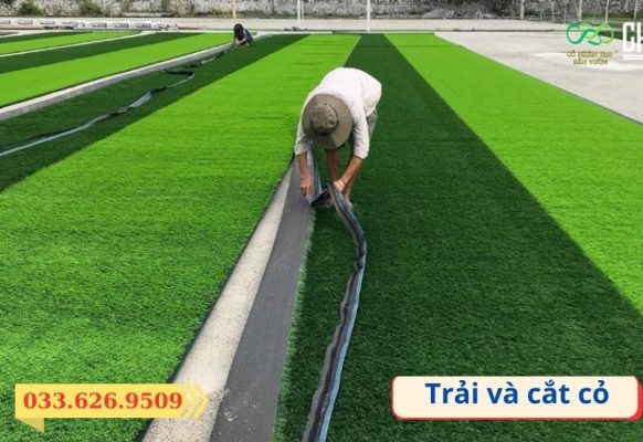 Đo đạc theo thực tế và cắt cỏ