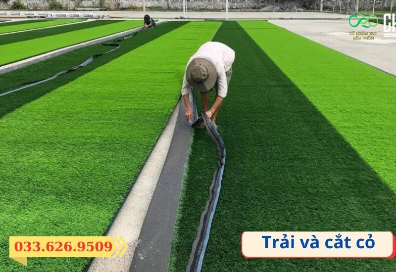 Đo đạc theo thực tế và cắt cỏ