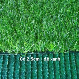Cỏ nhân tạo 2.5cm đế xanh