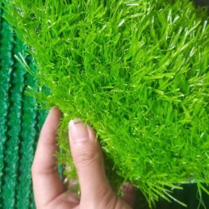 Giá cỏ tương đồng với chất lượng của cỏ