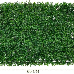 Mặt trước của tấm cỏ cải xoong
