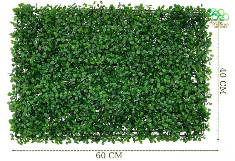 Mặt trước của tấm cỏ cải xoong