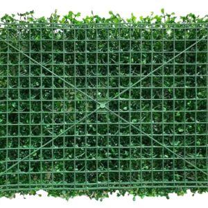 Mặt sau của tấm cỏ cải xoong