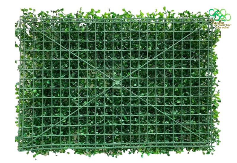 Mặt sau của tấm cỏ cải xoong