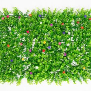Tấm cỏ tai chuột có hoa điểm