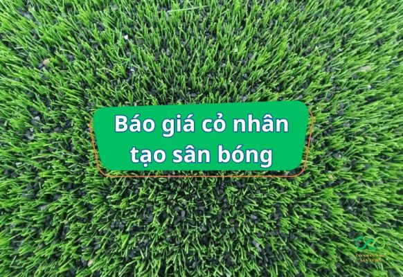 Báo giá cỏ nhân tạo sân bóng đá