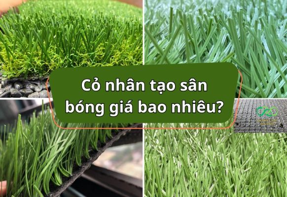 Thảm cỏ nhân tạo sân bóng đá có giá bao nhiêu tiền 1m2