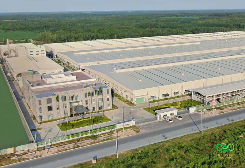 Nhà máy sản xuất cỏ nhân tạo CCGRASS