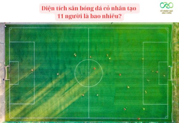 Diện tích sân bóng đá cỏ nhân tạo 11 người