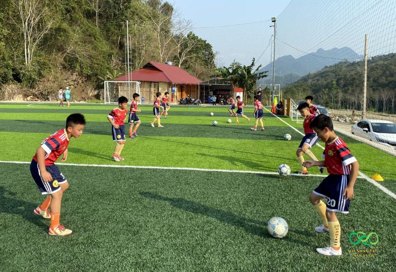 Xác định kế hoạch đầu tư sân bóng
