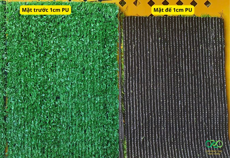 Cỏ nhân tạo 1cm đế PU