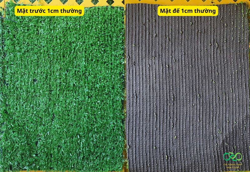 Cỏ nhân tạo 1cm thường
