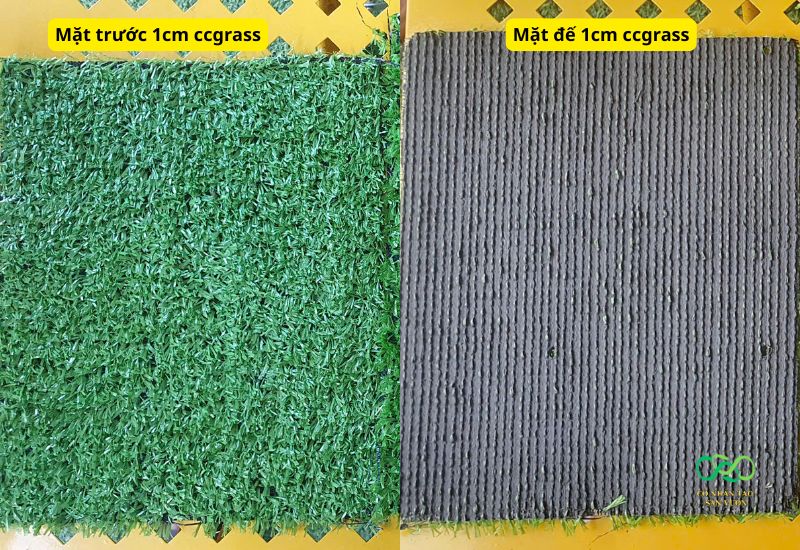 Cỏ nhân tạo 1cm ccgrass