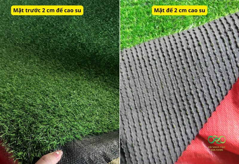 Thảm cỏ nhân tạo 2cm 11 mũi đế cao su