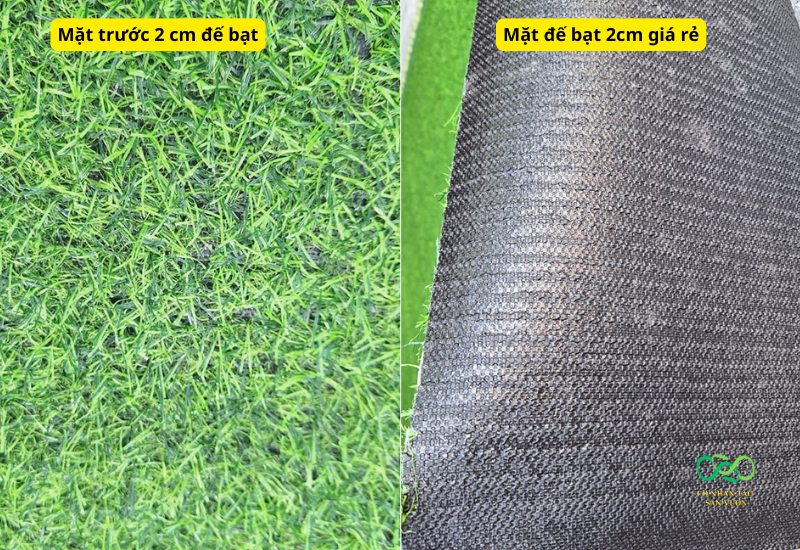 Dòng 2cm đế bạt 11 mũi